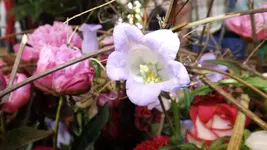 DSCF1926.webp