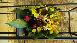 DSCF1927.webp