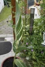 _DSC8257.webp