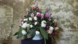 DSCF1929.webp