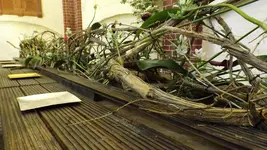 DSCF1930.webp