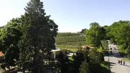 DSCF1935.webp