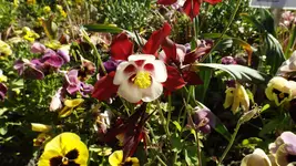 DSCF1943.webp