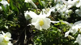 DSCF1944.webp