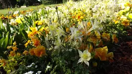 DSCF1946.webp