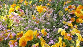 DSCF1950.webp
