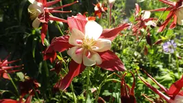 DSCF1954.webp