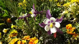 DSCF1940.webp