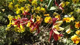 DSCF1942.webp