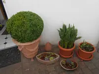 DSCN2451.webp