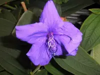 Bilda093.webp