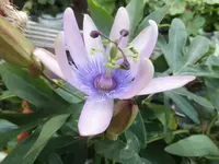 Bilda021.webp