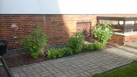 20150602_191447.webp