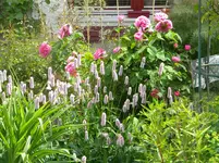 DSCN8860.webp
