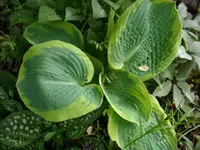 DSCI3397.webp
