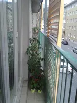 20150602_201133.webp