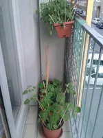 20150602_201254.webp