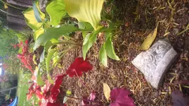 IMG-20150602-WA0015.webp