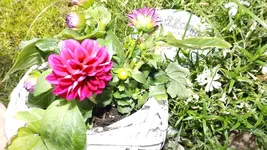 DSCF1969.webp