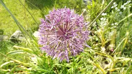 DSCF1980.webp