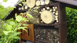 DSCF2024.webp