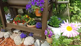 DSCF2022.webp
