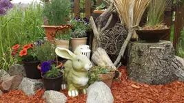 DSCF2032.webp