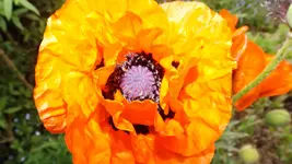 DSCF2020.webp