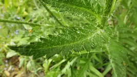 DSCF2048.webp