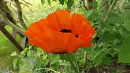 DSCF2049.webp