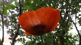 DSCF2050.webp