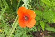 DSCF1219 (2).webp