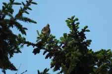 DSCF1220.webp
