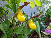 DSCF9390.webp