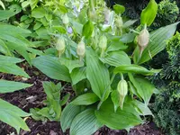 DSCF9402.webp