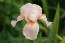DSC01828.webp