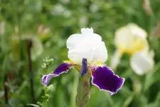 DSC01829.webp
