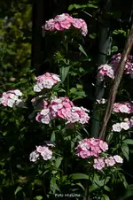 IMG_8701.webp