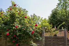 IMG_8702.webp