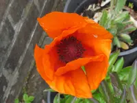 002_1024x768.webp