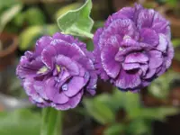 014_1024x768.webp