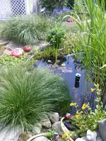 Teich 1.1.webp