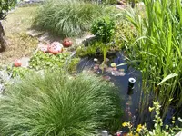 Teich2.1.webp