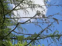 Bilda102.webp