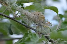 DSC_0150.webp
