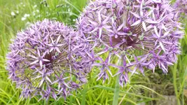 DSCF2034.webp