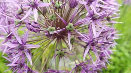 DSCF2036.webp