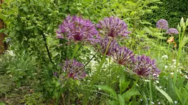 DSCF2039.webp