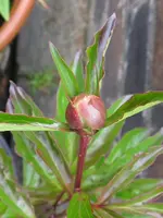 001_576x768.webp