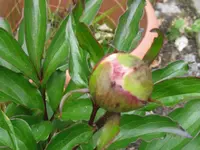 003_1024x768.webp